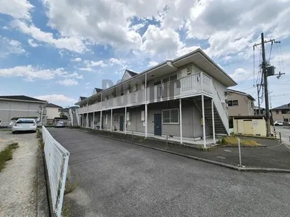 アンバーパールの画像