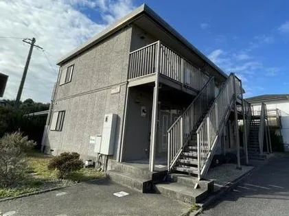 サンフラワーの画像