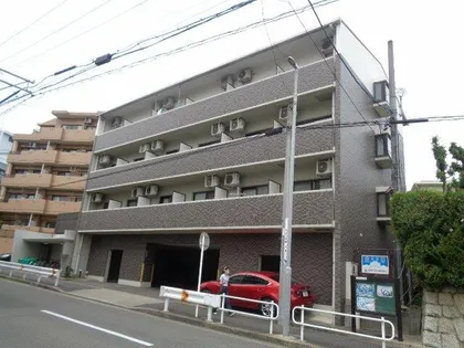 コーラル観月の画像