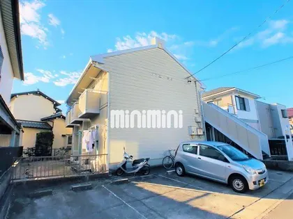 タウニーマイの画像