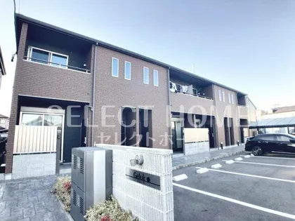 GELUKの画像
