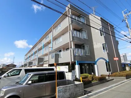 シームーンの画像