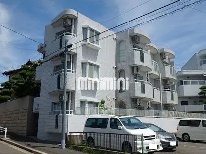 ニュー高貴の画像