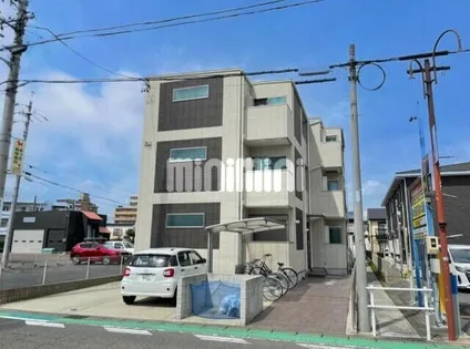 ティセの画像