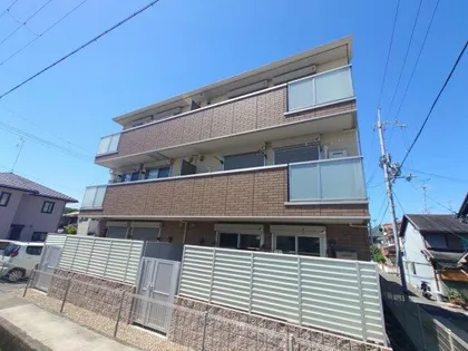 ピュア グレースの画像