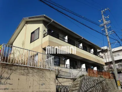 サンシティマミーナの画像