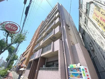 サンフェスタの画像