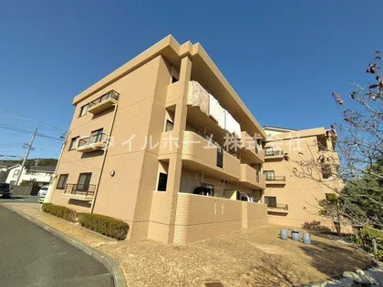 ネオパラドールの画像