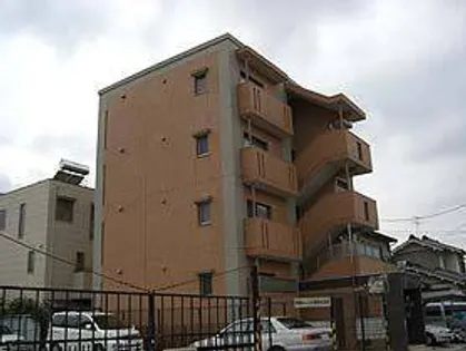 パレットM Tの画像