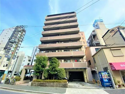 GATHERIA PACEの画像