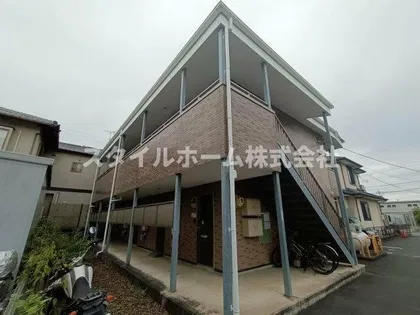 シオン フクシアの画像
