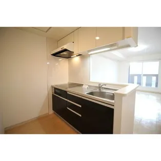 ロイヤルヒルズ【102号室】のキッチン