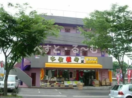 ココ バレーの画像