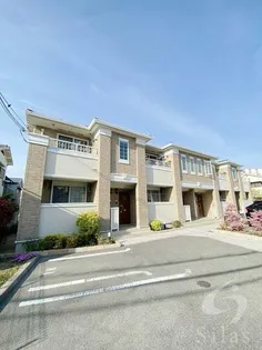 シェーネ 康の画像