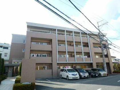 ステラコートの画像