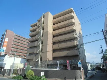 フェリスの画像