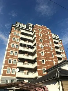 コメルスVの画像