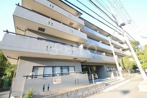 緑の森の画像
