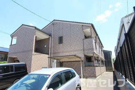 プルメリア Mの画像