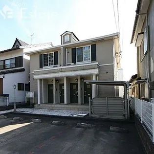 プリムラの画像