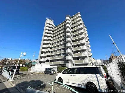 ベイリーブスの画像