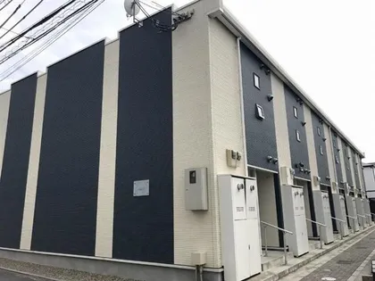 レオネクストアウリィの画像