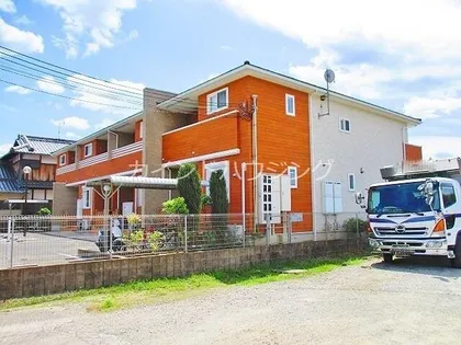 コスモス Bの画像