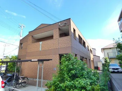 シェルル ハナミズキの画像