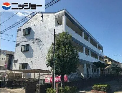 PRIMーROSEの画像