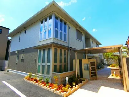 クリサンテーモの画像