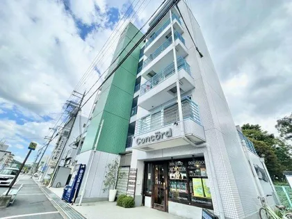 ツインツリーの画像