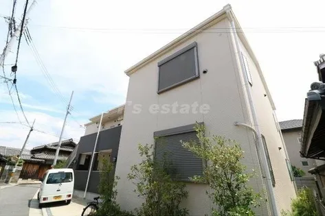 アムールレオの画像