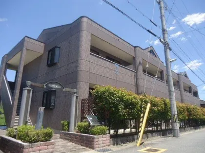 グレイス ワンの画像