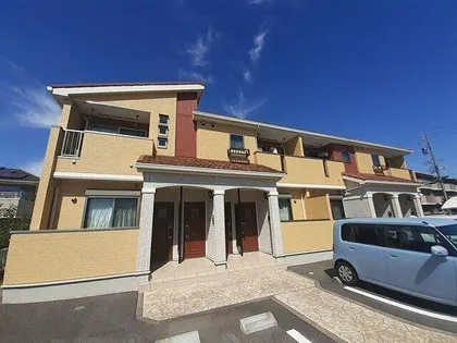 カモミールの画像