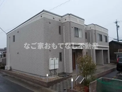 カモミールの画像