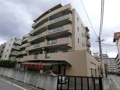 セレッソの画像