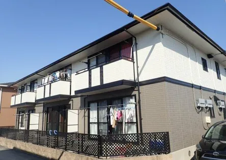 ヴァン ホーリーAの画像