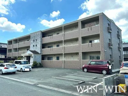 アンピレインの画像