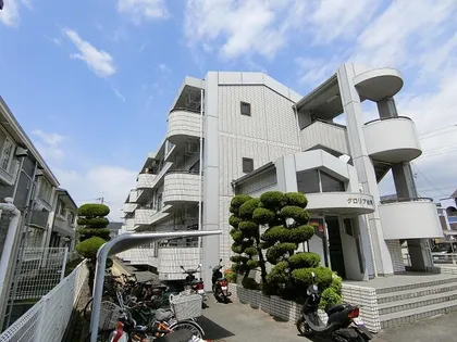 グロリア白川の画像