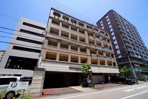 ビバリーロデオの画像