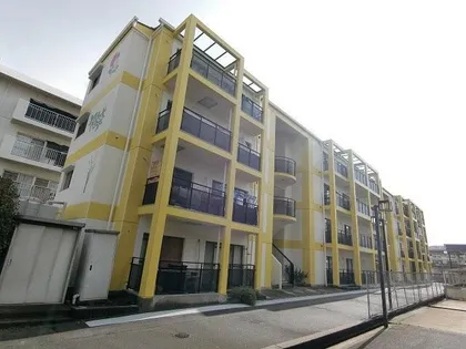 プロスペリティの画像