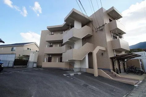 プチセントリーフの画像