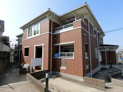 プリムローズの画像