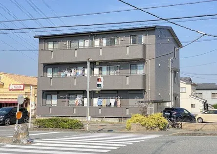 サン ドリームの画像