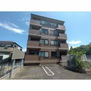 プリムローズマキ Bの画像