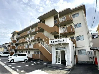 パークサイドスズキの画像