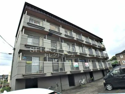 ドミールインター【303号室】の外観