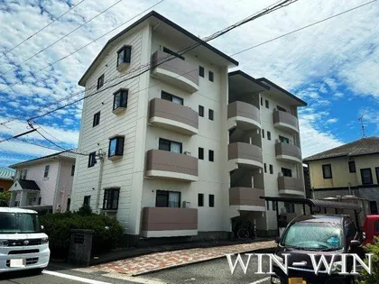 ウイングコートの画像