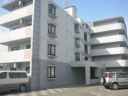 エクシーマ19の画像