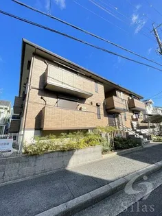 プチ アングルの画像